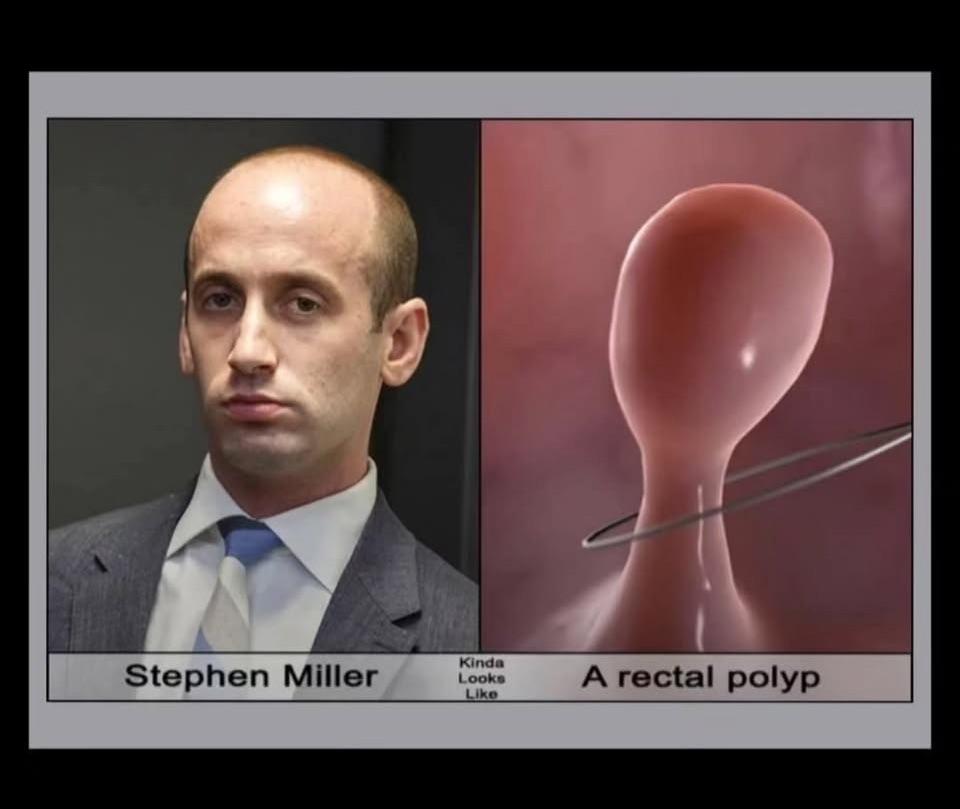 crude meme about stephen miller